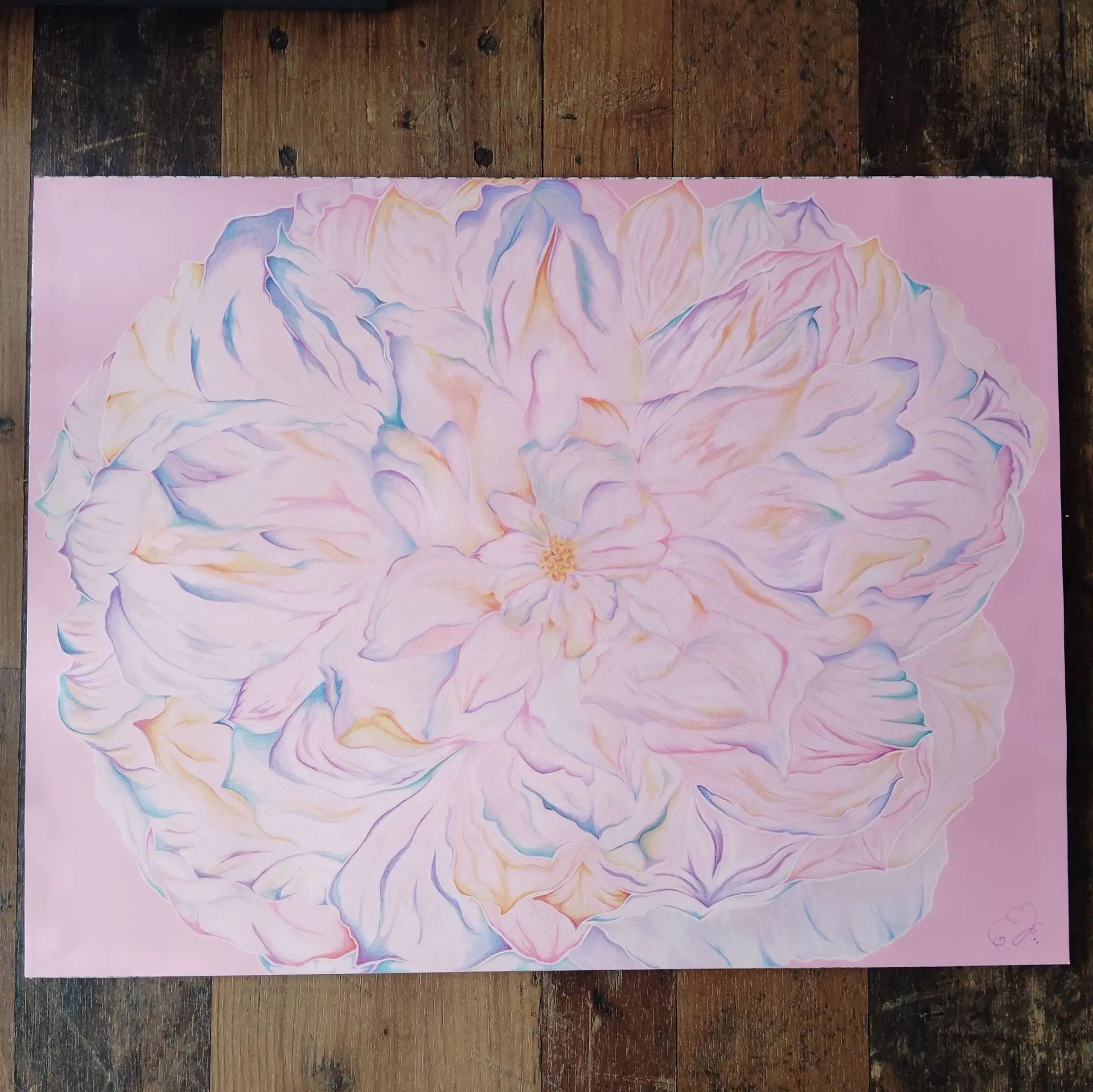 Beauté Céleste d une Rose Blanche (Crayons de Couleur)