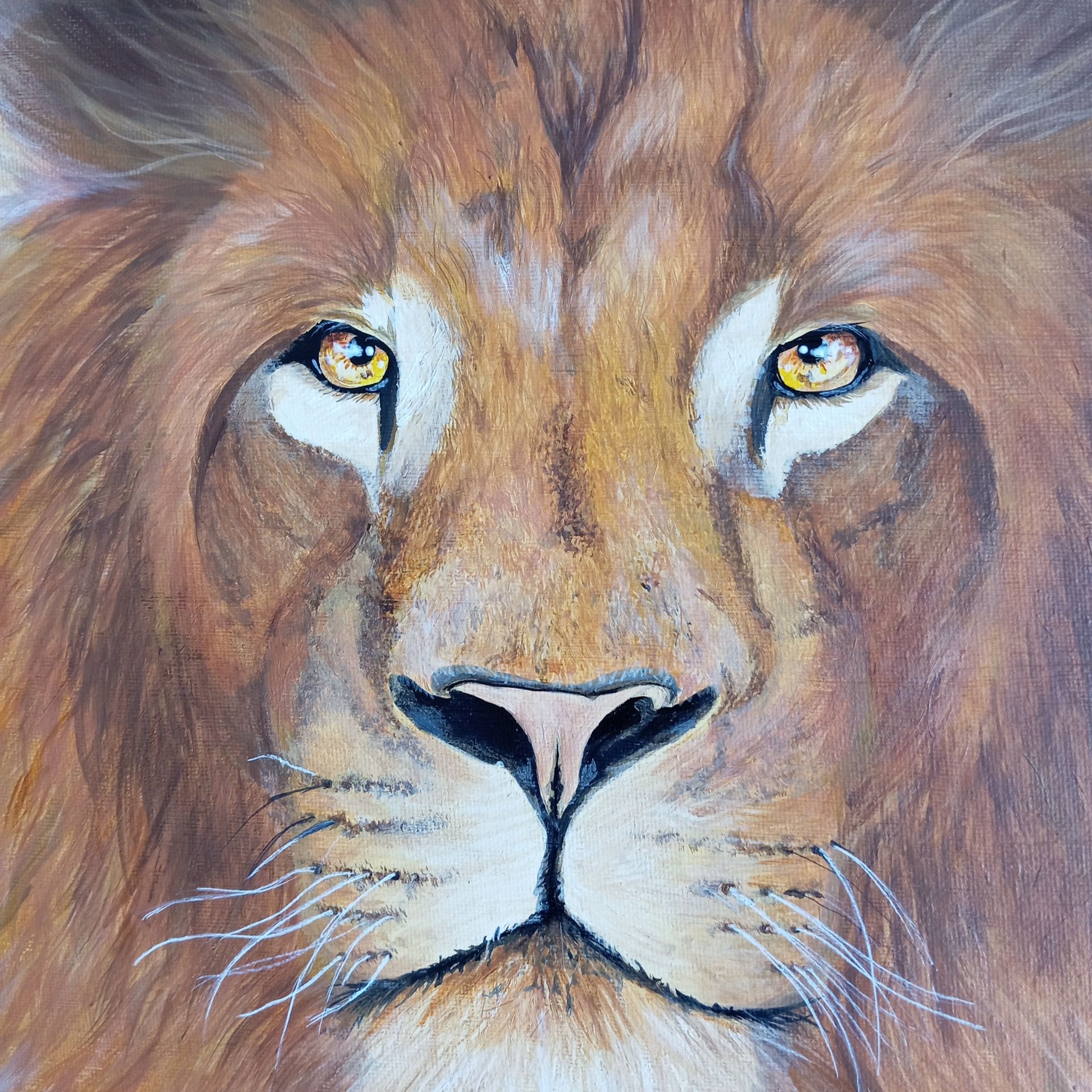Portrait d'un lion réalisé en acrylique par l'artiste Joanna Husson