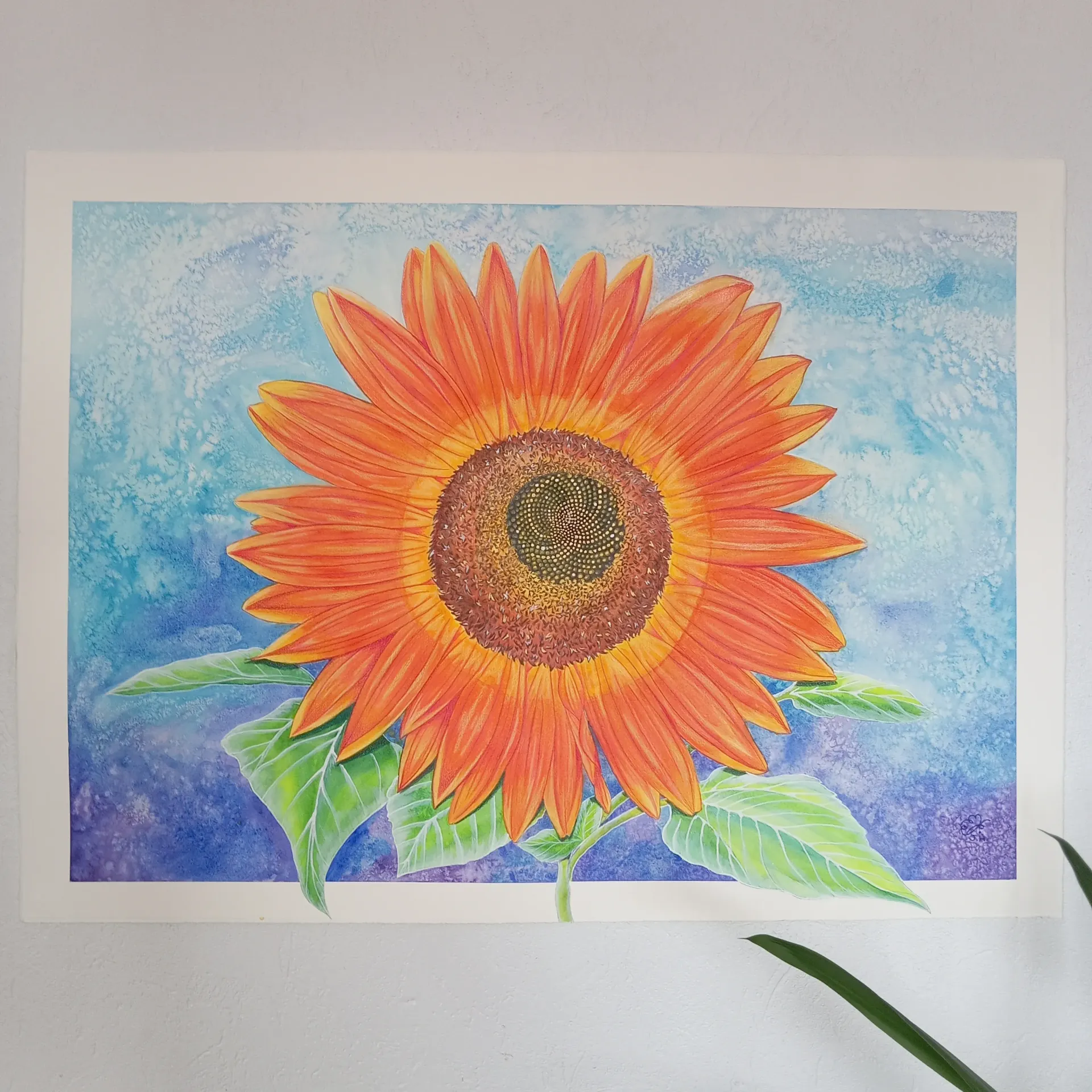 Un Tournesol à Vauthiermont