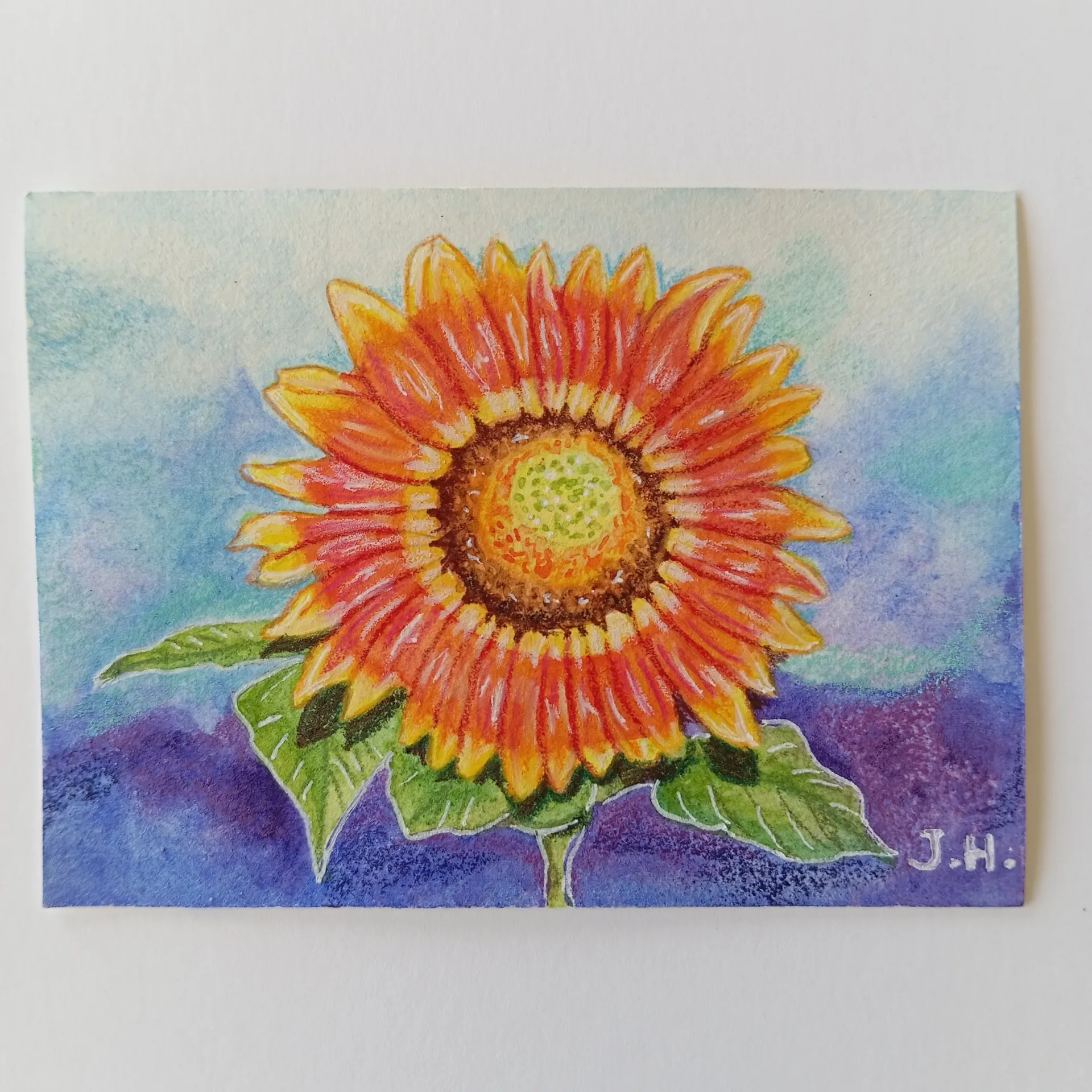 ACEO #10