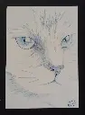 Blue Cat