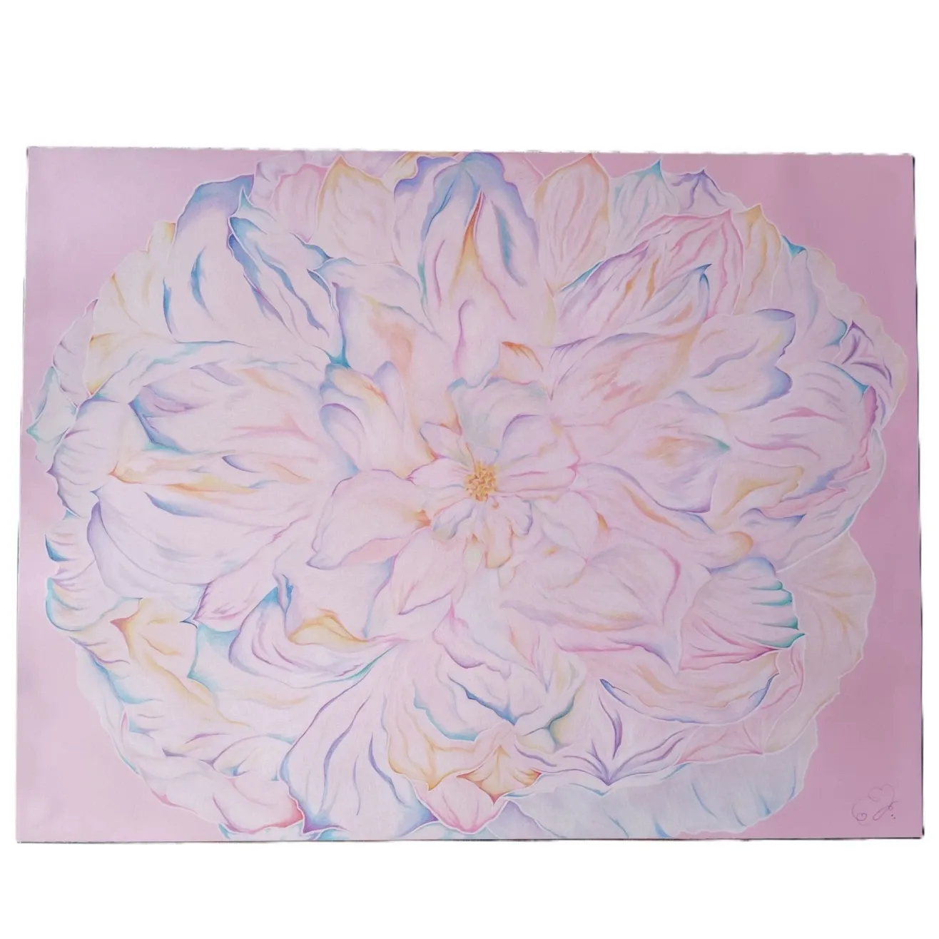 Beauté Céleste d'une Rose Blanche