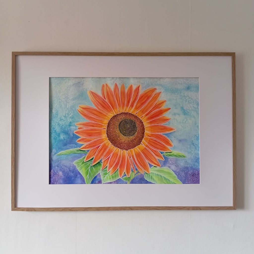 Un Tournesol à Vauthiermont