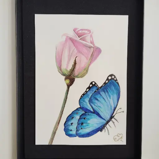 La Rose et le Papillon